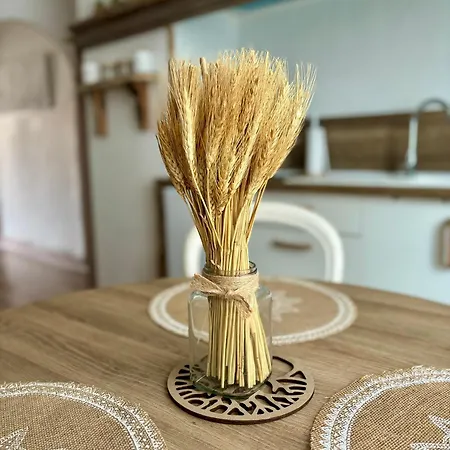 Couleur Des Champs Avec Exterieur - 15 Mn A Pied De La Cite * Carcassonne