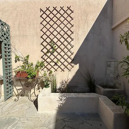 Couleur Des Champs Avec Exterieur - 15 Mn A Pied De La Cite Carcassonne