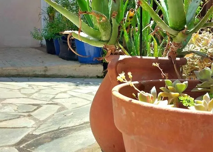 Lejlighed Couleur Des Champs Avec Exterieur - 15 Mn A Pied De La Cite