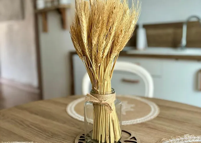 Couleur Des Champs Avec Exterieur - 15 Mn A Pied De La Cite * Carcassonne